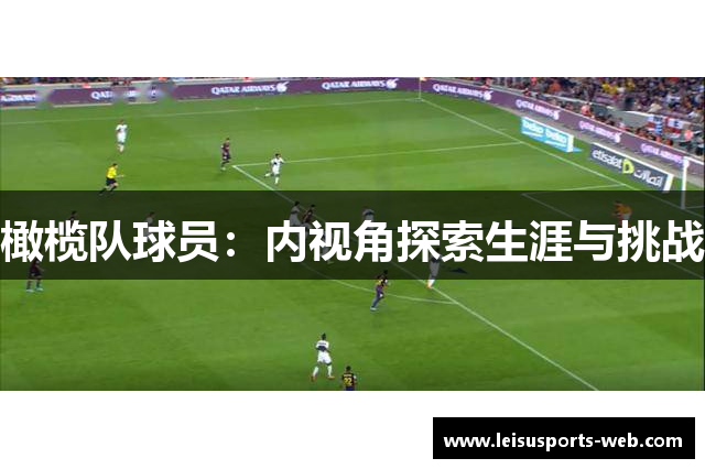 橄榄队球员：内视角探索生涯与挑战