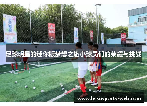 足球明星的迷你版梦想之旅小球员们的荣耀与挑战